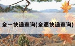 全一快递查询(全速快递查询)