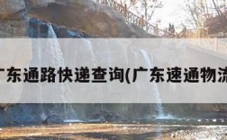 广东通路快递查询(广东速通物流)