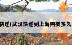 武汉快递(武汉快递到上海需要多久时间)