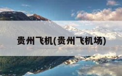 贵州飞机(贵州飞机场)