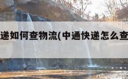 中通快递如何查物流(中通快递怎么查物流进度)