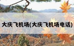 大庆飞机场(大庆飞机场电话)