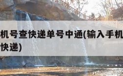 输入手机号查快递单号中通(输入手机号查物流中通快递)