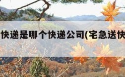 宅急送快递是哪个快递公司(宅急送快递百度百科)