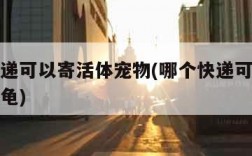 哪个快递可以寄活体宠物(哪个快递可以寄活体宠物龟)