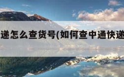 韵达快递怎么查货号(如何查中通快递到哪里了)