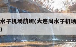 大连周水子机场航班(大连周水子机场航班实时查询)