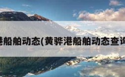 黄骅港船舶动态(黄骅港船舶动态查询平台)
