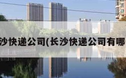 长沙快递公司(长沙快递公司有哪些)
