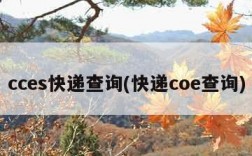 cces快递查询(快递coe查询)