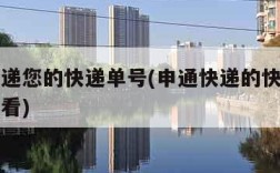 申通快递您的快递单号(申通快递的快递单号在哪里看)