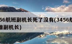 3456航班副机长死了没有(3456航班空难副机长)