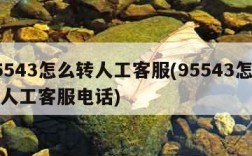 95543怎么转人工客服(95543怎么转人工客服电话)