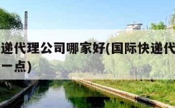 国际快递代理公司哪家好(国际快递代理公司哪家好一点)