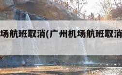 广州机场航班取消(广州机场航班取消情况今天)