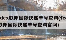 fedex联邦国际快递单号查询(fedex联邦国际快递单号查询官网)