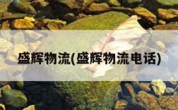 盛辉物流(盛辉物流电话)