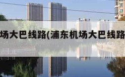 浦东机场大巴线路(浦东机场大巴线路查询时刻表)