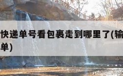 怎么查快递单号看包裹走到哪里了(输入手机号查订单)