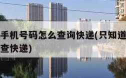 只知道手机号码怎么查询快递(只知道手机号码如何查快递)