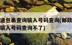 邮政快递包裹查询输入号码查询(邮政快递包裹查询输入号码查询不了)