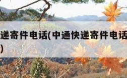 中通快递寄件电话(中通快递寄件电话查询快递单号)