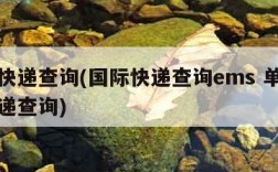 国际快递查询(国际快递查询ems 单号查询快递查询)