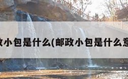 邮政小包是什么(邮政小包是什么意思)