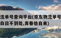 京东物流单号查询平台(京东物流单号查询号码查询白日不到处,青春恰自来)