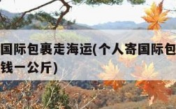 个人寄国际包裹走海运(个人寄国际包裹走海运多少钱一公斤)