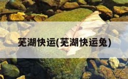 芜湖快运(芜湖快运兔)