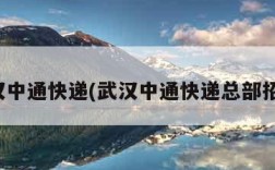 武汉中通快递(武汉中通快递总部招聘)