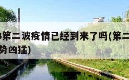2023第二波疫情已经到来了吗(第二波疫情来势凶猛)