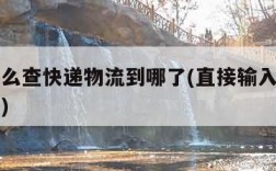 申通怎么查快递物流到哪了(直接输入手机号查快递)