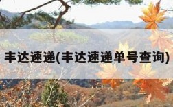 丰达速递(丰达速递单号查询)