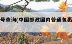 包裹单号查询(中国邮政国内普通包裹单号查询)