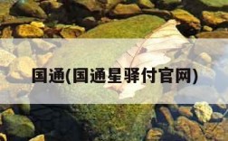 国通(国通星驿付官网)