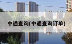 中通查询(中通查询订单)