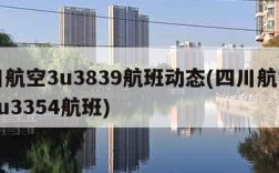 四川航空3u3839航班动态(四川航空公司3u3354航班)