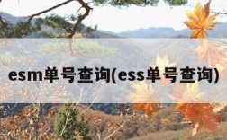 esm单号查询(ess单号查询)