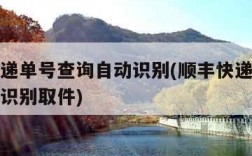 顺丰快递单号查询自动识别(顺丰快递单号查询自动识别取件)
