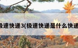 极速快递3(极速快递是什么快递)