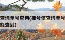 挂号信查询单号查询(挂号信查询单号查询追踪几天能查到)