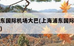 上海浦东国际机场大巴(上海浦东国际机场大巴站点)
