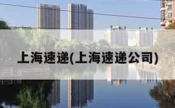 上海速递(上海速递公司)