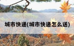 城市快递(城市快递怎么送)