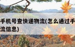 怎么用手机号查快递物流(怎么通过手机号查快递物流信息)