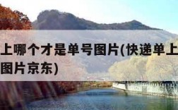 快递单上哪个才是单号图片(快递单上哪个才是单号图片京东)