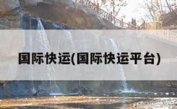 国际快运(国际快运平台)