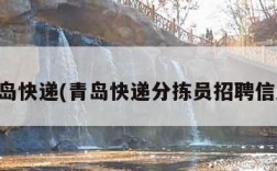 青岛快递(青岛快递分拣员招聘信息)